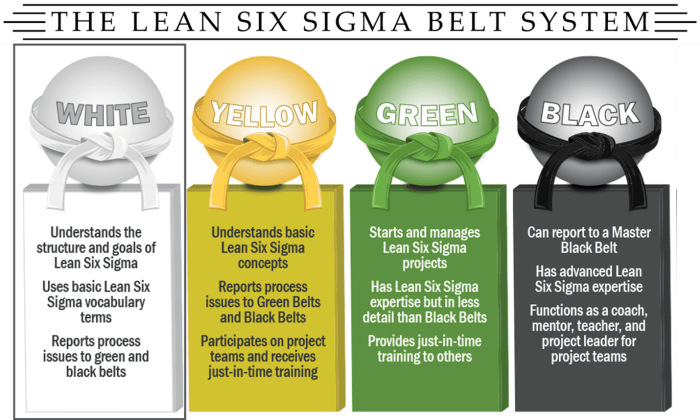 Lean six sigma white belt pdf