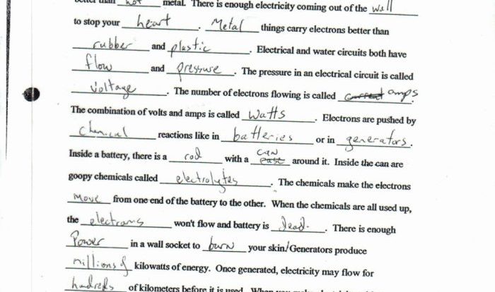 Bill nye genes worksheet answers