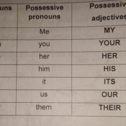 Select the correct possessive adjective to complete each sentence