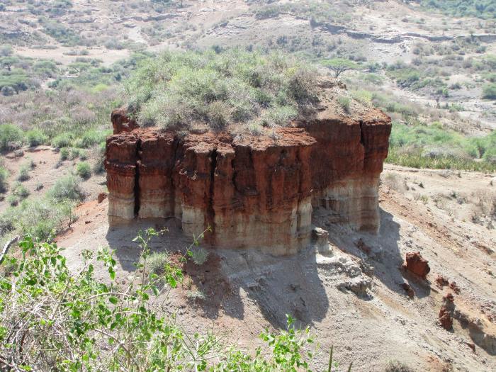 Select the statements that describe olduvai gorge.